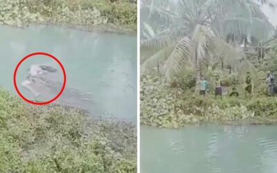 Mujer es asesinada por un cocodrilo mientras recolectaba espinacas