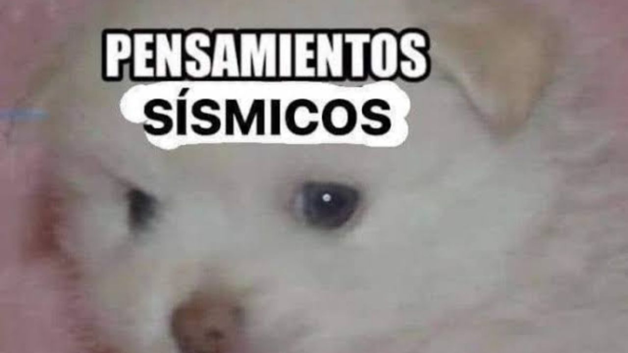 Sismo en México HOY viernes 14 de marzo y estos son los mejores memes del temblor