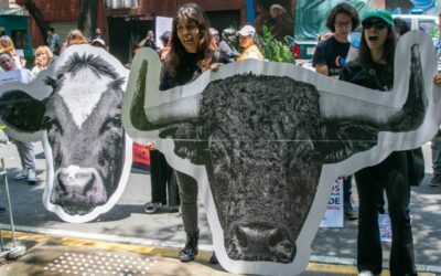 Comisión sesionará el 14 de marzo sobre la propuesta de Clara Brugada para modificar las corridas de toros en la CDMX