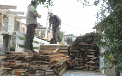 "No esta permitida la tala ilegal en la capital de la transformación; seremos guardianes de nuestro bosque de agua": Julia Álvarez Icaza
