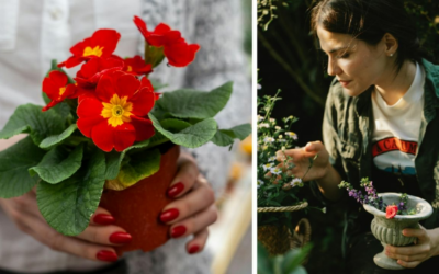 Tres flores que son resistentes al sol e ideales para decorar el jardín esta primavera