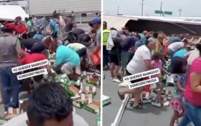 Vecinos de Reynosa protagonizan rapiña de mango, después los venden por Internet