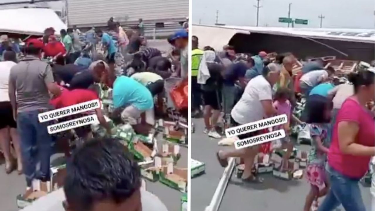 Vecinos de Reynosa protagonizan rapiña de mango, después los venden por Internet