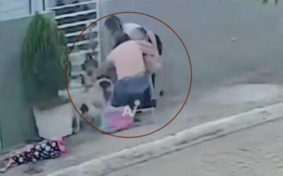 Perro pitbull ataca a dos menores de edad mientras esperaban el autobús escolar | VIDEO