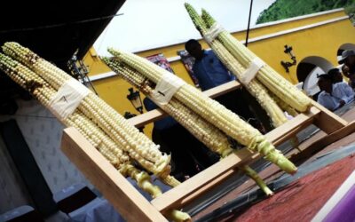 ¿Te gustan los elotes? Lánzate a la Feria de Jala, Nayarit